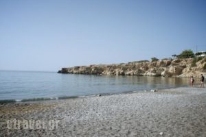 Avra Palm_travel_packages_in_Crete_Lasithi_Koutsounari