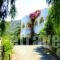 Dionysos Apartments_best deals_Apartment_Ionian Islands_Corfu_Palaeokastritsa