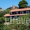 Villa Anna_accommodation_in_Villa_Thessaly_Magnesia_Pinakates