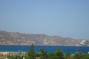 Saloustros Apartments_holidays_in_Apartment_Crete_Heraklion_Ammoudara