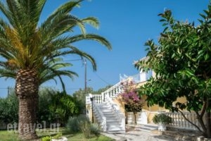 Mentikas Studios_travel_packages_in_Ionian Islands_Zakinthos_Laganas