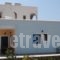 Montemar Studios & Apartments_best deals_Apartment_Dodekanessos Islands_Karpathos_Karpathosora