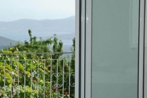 Hotel Orfeas_best prices_in_Hotel_Central Greece_Fokida_Delfi