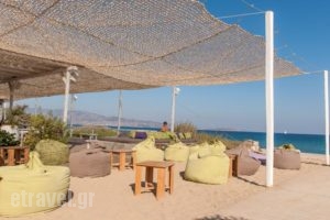 Soros Beach_travel_packages_in_Cyclades Islands_Antiparos_Antiparos Chora