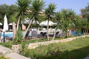 Pythos Studios_accommodation_in_Hotel_Ionian Islands_Kefalonia_Vlachata