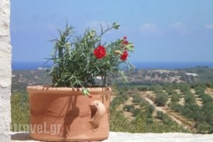 Dalabelos Estate_lowest prices_in_Hotel_Crete_Rethymnon_Mylopotamos