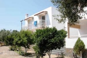 Primavera Paradise Apartments_best prices_in_Apartment_Crete_Lasithi_Aghios Nikolaos