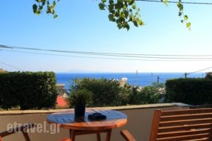 Studios Marfo_holidays_in_Hotel_Cyclades Islands_Andros_Andros City