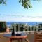 Studios Marfo_holidays_in_Hotel_Cyclades Islands_Andros_Andros City