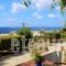 Studios Marfo_accommodation_in_Hotel_Cyclades Islands_Andros_Andros City