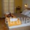 Pyrgos Adrachti_holidays_in_Hotel_Thessaly_Trikala_Kalambaki