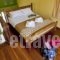 Meraki Apartments and Studios_best deals_Apartment_Peloponesse_Argolida_Tolo