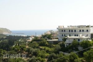 Paradise Art Hotel_best prices_in_Hotel_Cyclades Islands_Andros_Andros City