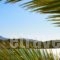 Almyrida Rooms_best prices_in_Room_Crete_Chania_Fournes