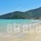 Green Sea Apartments_best deals_Apartment_Aegean Islands_Thasos_Thasos Chora