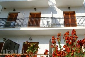 Hotel Orfeas_holidays_in_Hotel_Central Greece_Fokida_Delfi