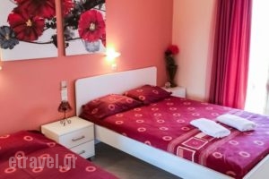 Athina Studios_holidays_in_Hotel_Ionian Islands_Zakinthos_Zakinthos Chora