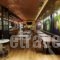 Veritas Boutique Art Hotel_travel_packages_in_Macedonia_Imathia_Veria