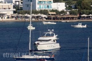 Hotel Livadia_holidays_in_Hotel_Cyclades Islands_Paros_Paros Chora