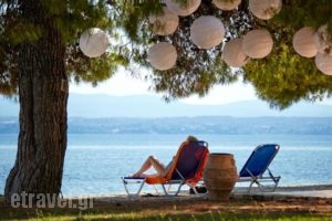 Negroponte Resort Eretria_lowest prices_in_Hotel_Central Greece_Evia_Eretria