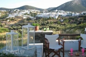 Apollon-Artemis Apartments_holidays_in_Apartment_Cyclades Islands_Sifnos_Apollonia