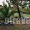 Kortiri Studios_best deals_Hotel_Macedonia_Halkidiki_Chalkidiki Area