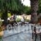 Sun Accommodation_best deals_Hotel_Sporades Islands_Skopelos_Skopelos Chora