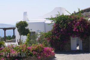 Mykonos Senses_best prices_in_Hotel_Cyclades Islands_Mykonos_Mykonos Chora