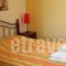 Vasilis Studios_best prices_in_Hotel_Peloponesse_Argolida_Argos