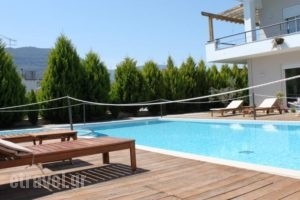 Alkistis Hotel_accommodation_in_Hotel_Peloponesse_Achaia_Diakopto