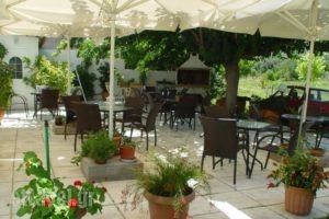 Studios Zoi_best prices_in_Hotel_Central Greece_Evia_Edipsos