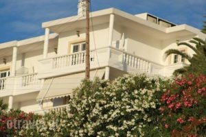 Villa Irini-Irene's House_lowest prices_in_Villa_Crete_Chania_Almyrida