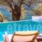 Villa Amoudia_accommodation_in_Villa_Ionian Islands_Kefalonia_Kefalonia'st Areas