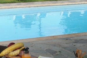 Villa Irini_holidays_in_Villa_Piraeus Islands - Trizonia_Spetses_Spetses Chora