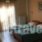 Tsironis Rooms_best prices_in_Room_Epirus_Ioannina_Zitsa