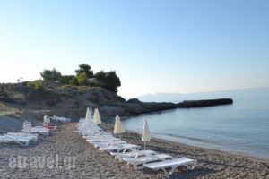 Club Ermioni_holidays_in_Hotel_Peloponesse_Arcadia_Leonidio