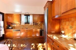 Villa Stella_best deals_Villa_Crete_Chania_Tavronitis