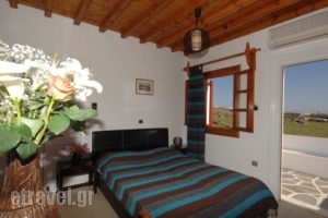 Villa Vasilis_holidays_in_Villa_Cyclades Islands_Mykonos_Mykonos ora