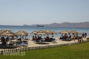 Apollon Suites_best prices_in_Hotel_Central Greece_Evia_Karystos