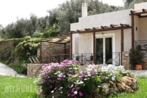 Naiades Villas_accommodation_in_Villa_Central Greece_Evia_Karystos