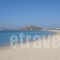 Naxos Island  Hotel_best prices_in_Hotel_Cyclades Islands_Paros_Paros Chora