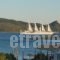 Anatoli Villas_holidays_in_Villa_Aegean Islands_Samos_Samos Chora