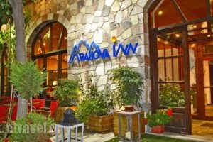 Arahova Inn & Conference_best deals_Hotel_Central Greece_Viotia_Arachova