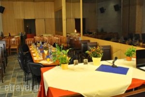 Arahova Inn & Conference_lowest prices_in_Hotel_Central Greece_Viotia_Arachova