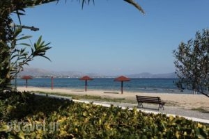 Ballos Apartments_best deals_Apartment_Piraeus Islands - Trizonia_Aigina_Marathonas