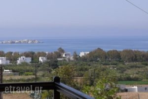 Villa Harmonia_holidays_in_Villa_Cyclades Islands_Naxos_Naxos Chora