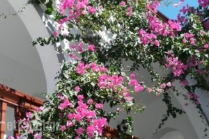 Kafouros Hotel_best deals_Hotel_Cyclades Islands_Sandorini_kamari