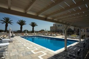 Kallisti Rooms & Apartments_holidays_in_Room_Cyclades Islands_Paros_Paros Chora