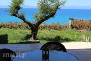 Avia_best deals_Hotel_Thessaly_Magnesia_Koropi