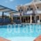 Sirena Apartments_holidays_in_Apartment_Crete_Heraklion_Ammoudara